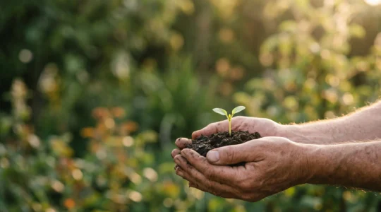 Mains d'une personne plongées dans la terre d'un jardin baigné de lumière douce, symbolisant l'apaisement mental par le contact avec la nature