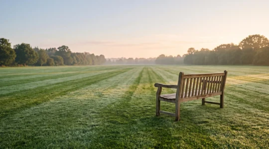 Pelouse dense et verte parfaitement entretenue avec des lignes de tonte nettes, illustrant un gazon digne d'un terrain de golf
